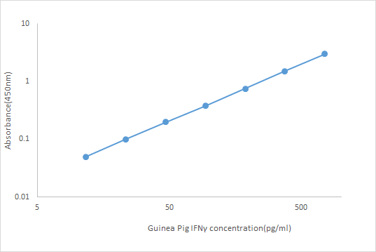 Guinea Pig IFNγ ELISA KIT