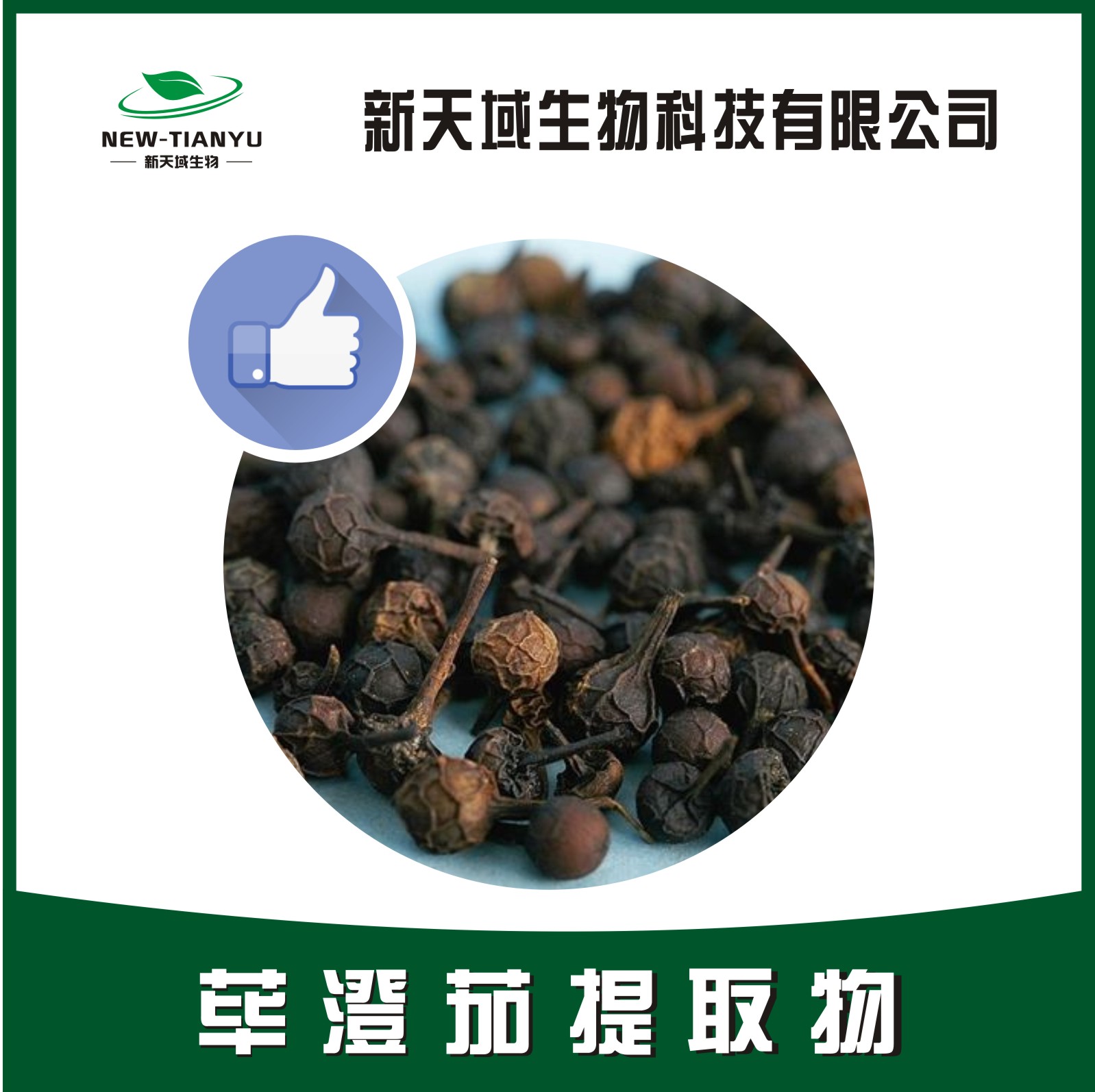 荜澄茄提取物