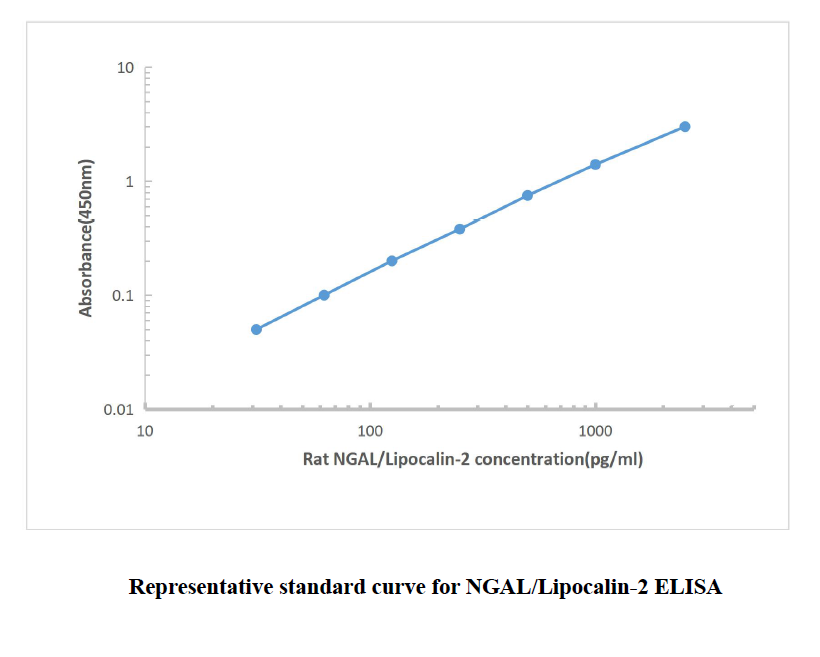 Rat NGAL ELISA KIT