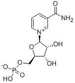 β-烟酰胺单核苷酸