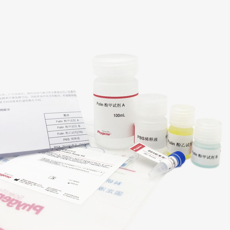 组织蛋白抽提试剂盒