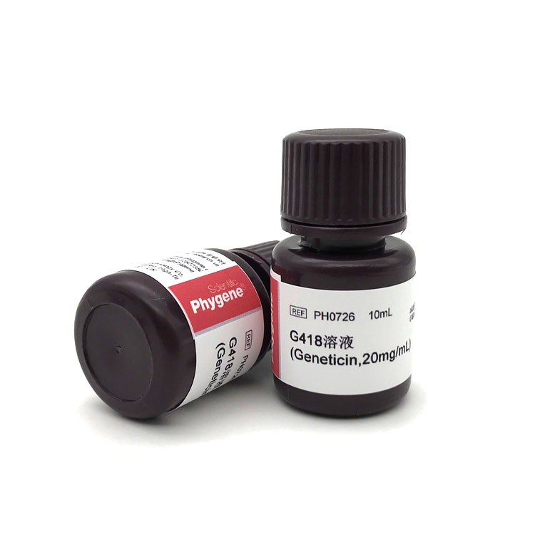 增强型抗荧光衰减封片剂 (含DAPI)