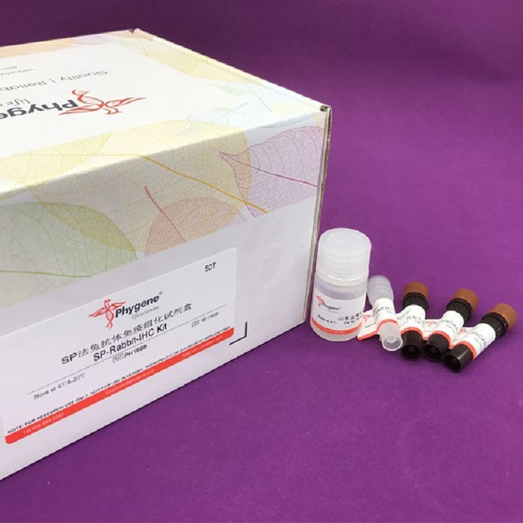 抗酒石酸酸性磷酸酶（TRAP）检测试剂盒