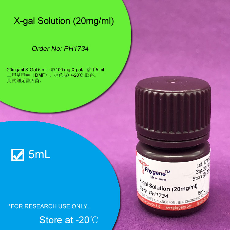 X-gal溶液 (20mg/ml)