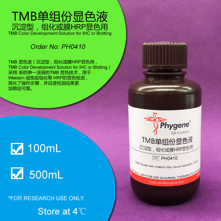 TMB单组份显色液