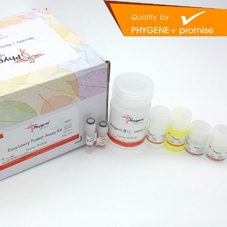 吖啶橙/溴化乙锭双荧光染色试剂盒