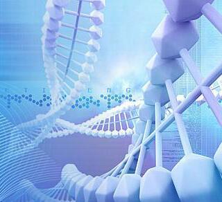 2× Robust SYBR Green qPCR ProMix With Low RO