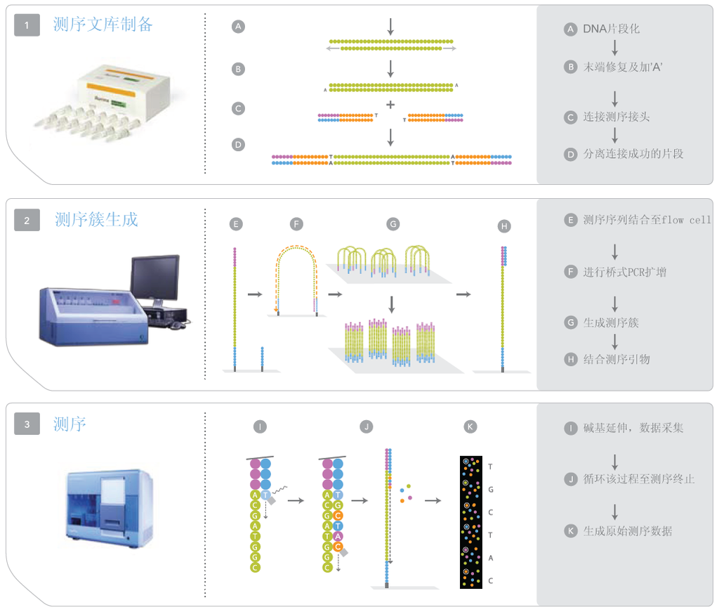 ChIP-Seq