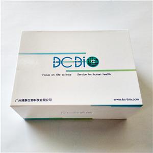 Human IL-10 ELISA Kit