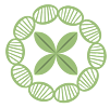 Deca-ubiquitin (linear)