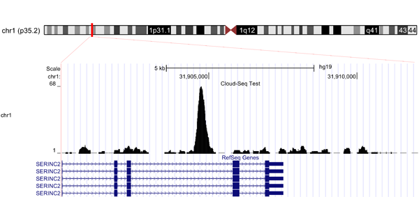 ChIP-seq