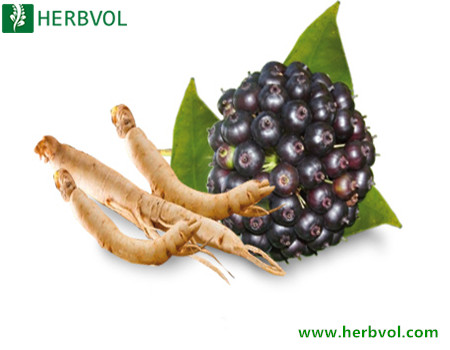 Siberian Ginseng Extract