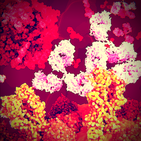 Jo-1 Antigen antibody