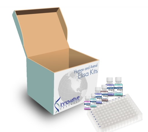 Human vWF ELISA Kit