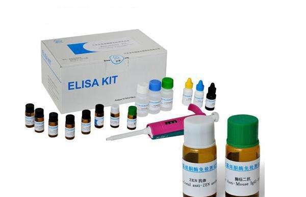 Human cytokeratin fragment antigen 21-1,CYFRA21-1 ELISA Kit