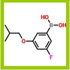 3-氟-5-异丁氧基苯硼酸