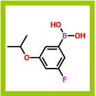 3-氟-5-异丙氧基苯硼酸