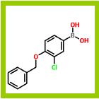 4-苄氧基-3-氯苯硼酸