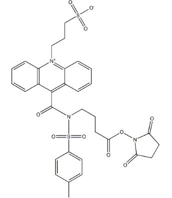 吖啶酯（NSP-SA-NHS）