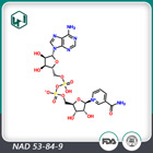 β-烟酰胺二核苷酸