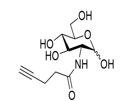 2-(4-戊炔酰氨基)-2-脱氧-D-吡喃葡萄糖，2-(4-pentynoylamino)-2-deoxy-D-glucopyranose