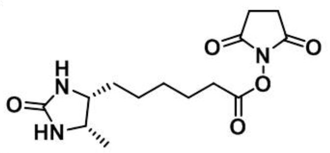 脱硫生物素-琥珀酰亚胺酯,Desthiobiotin NHS Ester