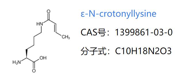 ε-N-巴豆酰基赖氨酸，ε-N-Crotonyllysine