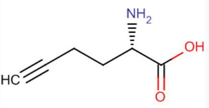 (S)-2-氨基-5-己炔酸,L-Homopropargylglycine (HPG)