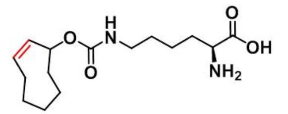 N-?(2E)-TCO-L-lysine