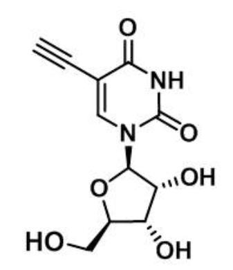 5-ETHYNYL URIDINE; 1-((2R,3R,4S,5R)-3,4-dihydroxy-5-(hydroxymethyl)tetrahydrofuran-2-yl)-5-ethynylpy