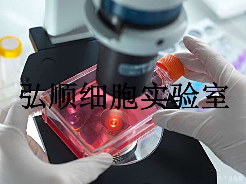 PLA-801D Cells|人高转移肺癌贴壁细胞