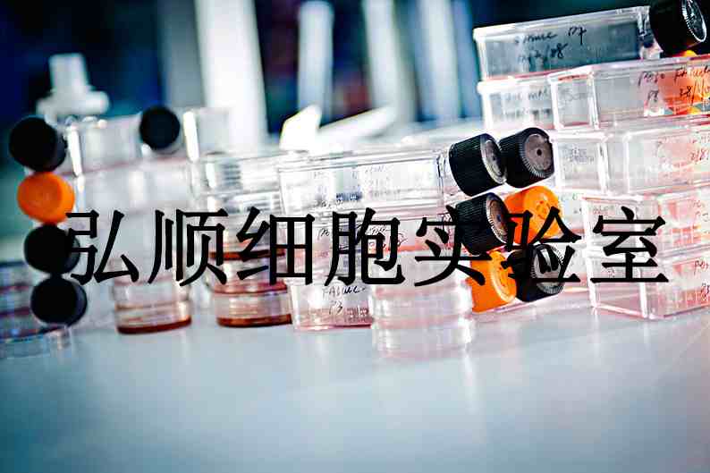 MDA-MB-415 Cells|人乳腺腺癌贴壁细胞