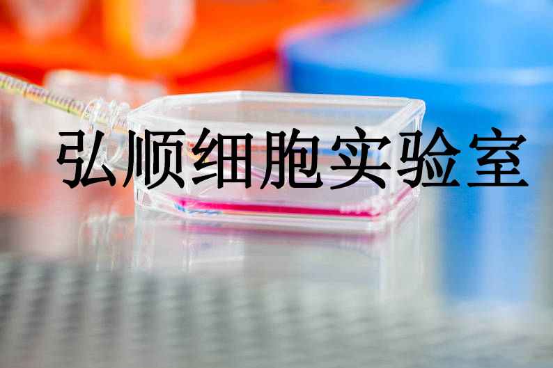 RBL-2H3 Cells|大鼠嗜碱性粒细胞性白血病传代细胞