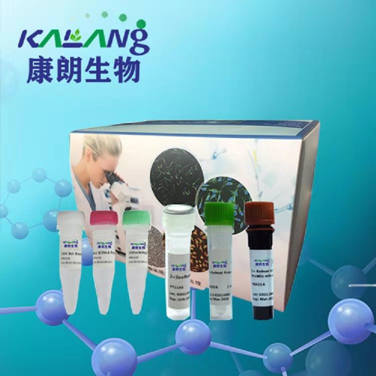 中华鳖球状病毒PCR试剂盒