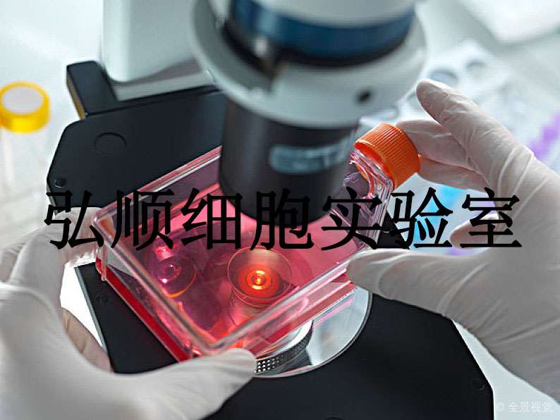 CHL Cells|中国仓鼠肺贴壁细胞