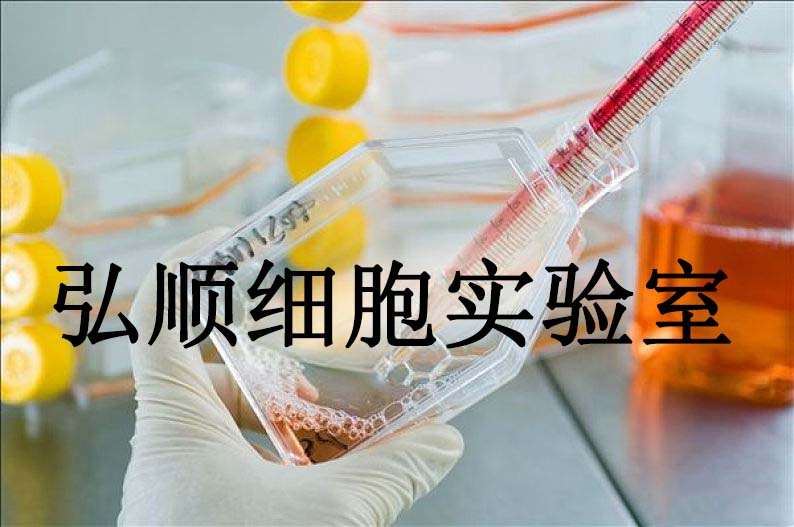 WRL 68 Cells|人正常肝贴壁细胞