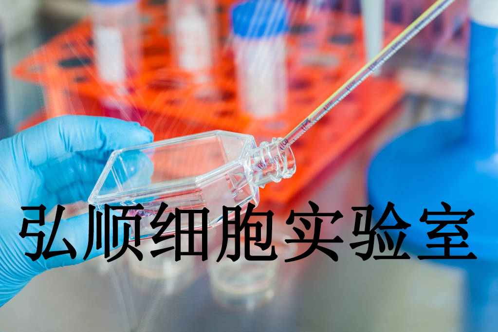 RPTEC/TERT1 Cells|人肾近端小管上皮贴壁细胞