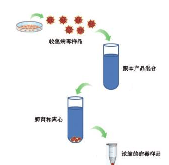 病毒沉淀剂