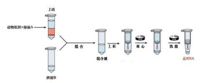 第二代病毒采运试剂盒（低敏型）（原拭子病毒采运试剂盒，核酸诊断用）