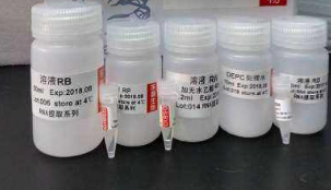 非冻型尿液DNA保存液