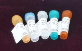 随机引物法DNA探针生物素标记试剂盒
