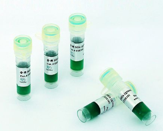 单酶一管式RT-PCR试剂盒（Tth）