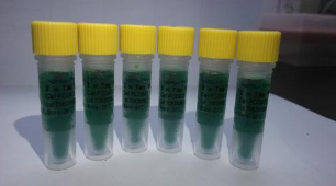 miRNA荧光定量RT-PCR检测试剂盒