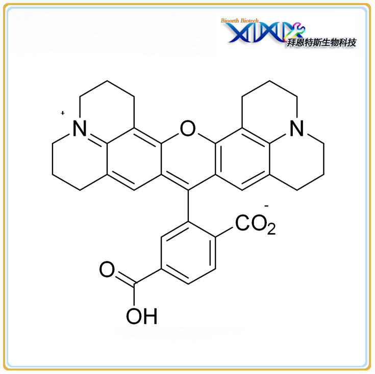 6-Carboxy-X-rhodamine | 6-ROX | CAS: 194785-18-7