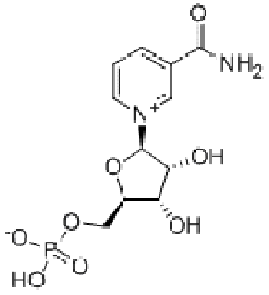 β-烟酰胺单核苷酸