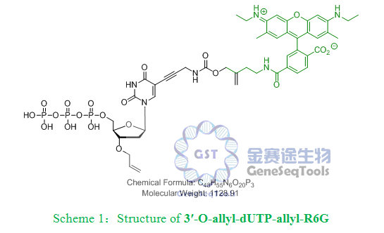 3′-O-allyl-dUTP-allyl-R6G