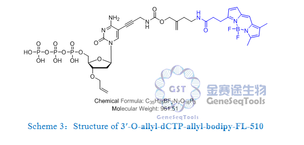 3′-O-allyl-dCTP-allyl-bodipy-FL-510