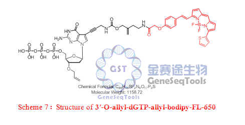 3′-O-allyl-dGTP-allyl-bodipy-FL-650