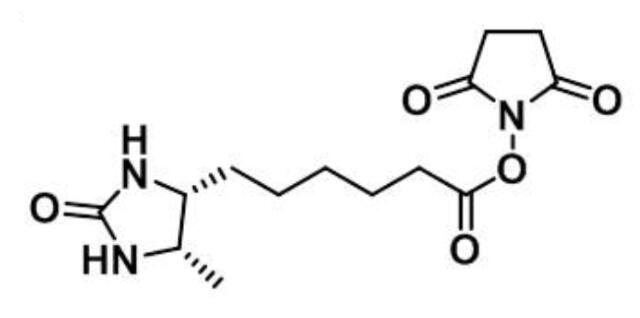 脱硫生物素-琥珀酰亚胺酯,Desthiobiotin NHS Ester