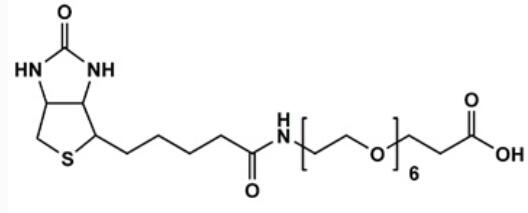 生物素-六聚乙二醇-羧酸,Biotin-PEG6-acid